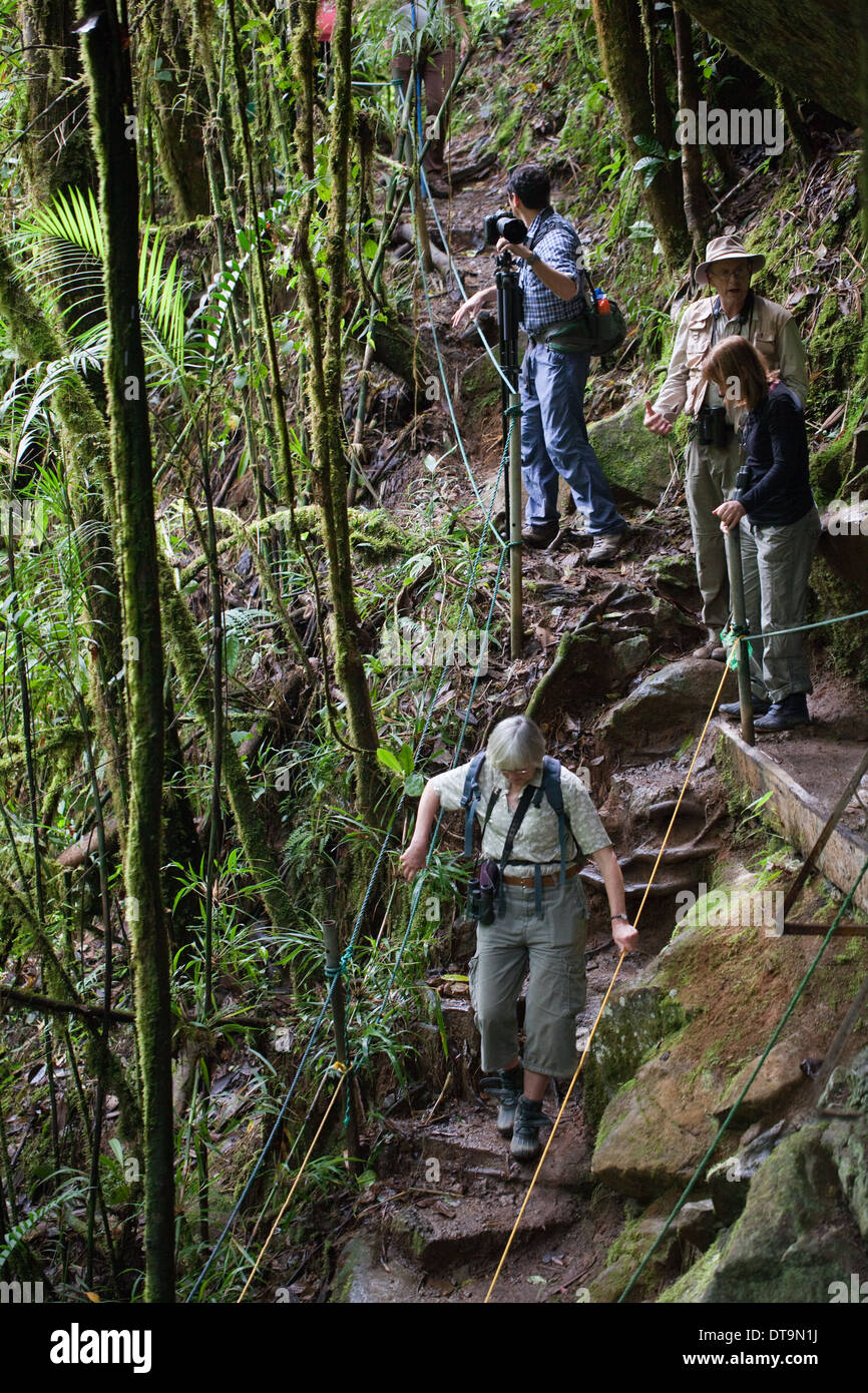 Eco-tourists clambering down steps to view a waterfall. Savegre River. San Gerado de Dota. Costa Rica. Central America. Stock Photo
