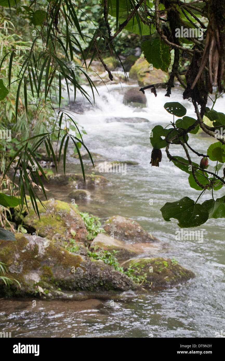 Upper reaches of Savegre River, Talamanea Mountains, Costa Rica. Central America. Stock Photo