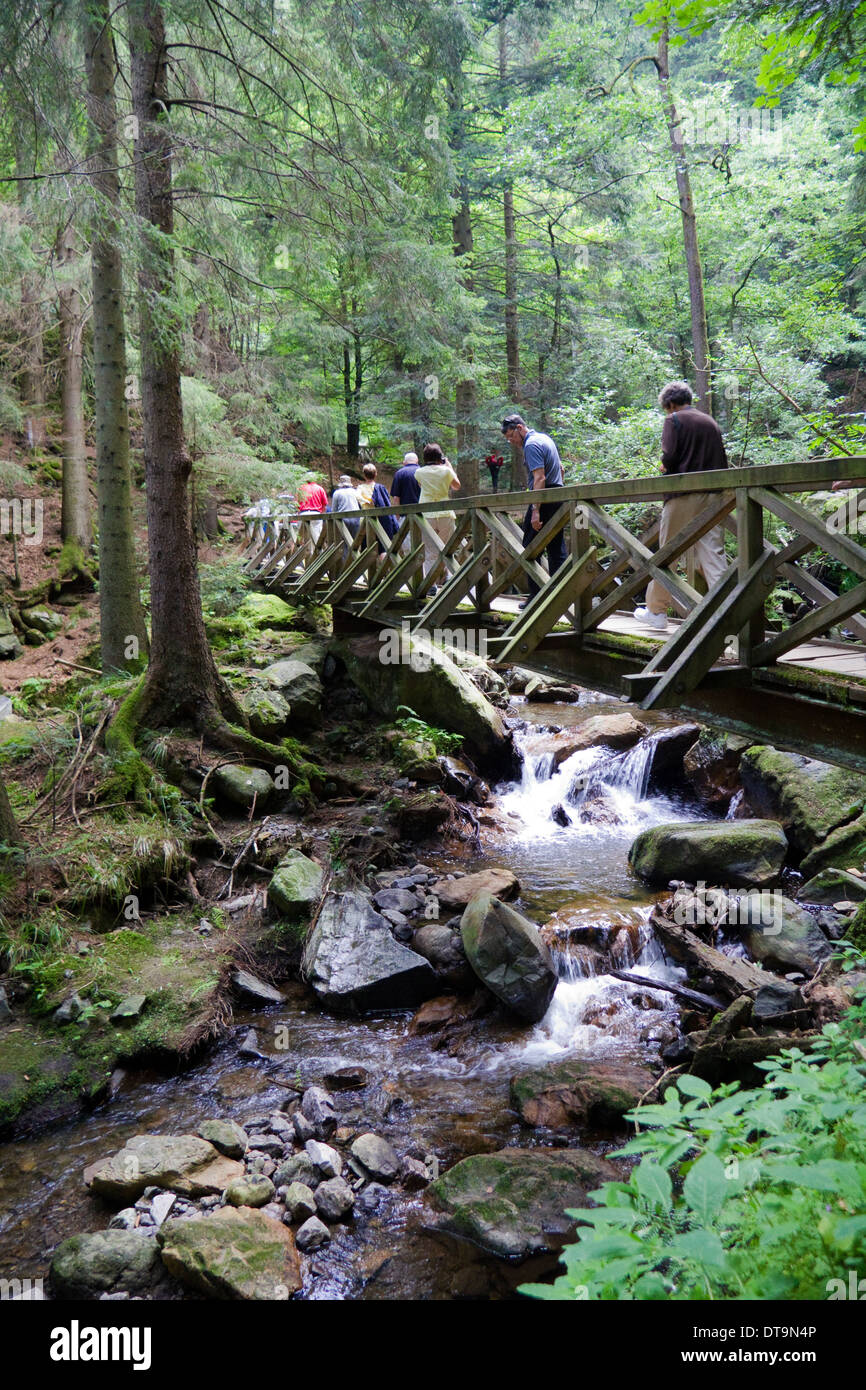 hiking black forest