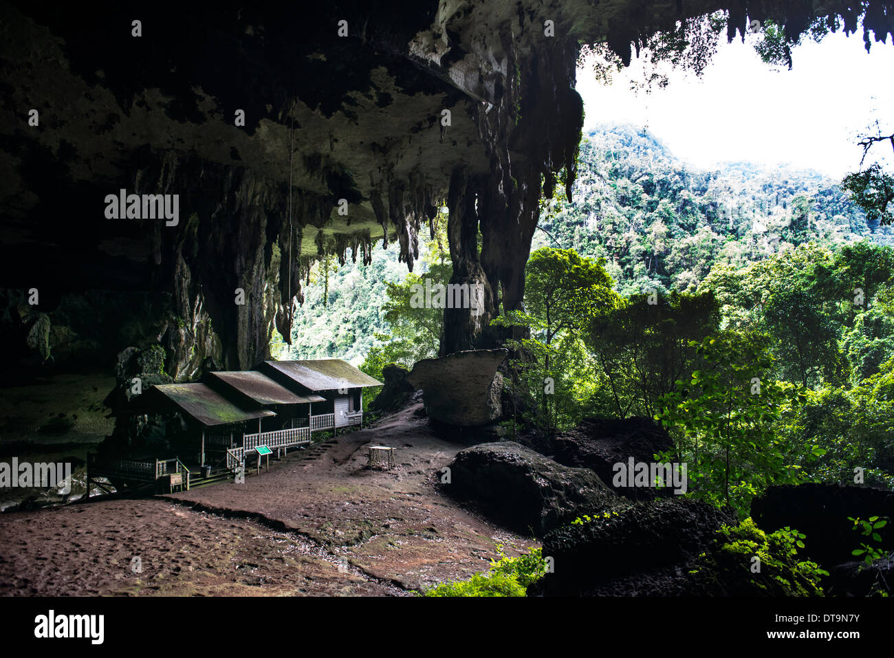 The beautiful caves in Niah National park. Stock Photo