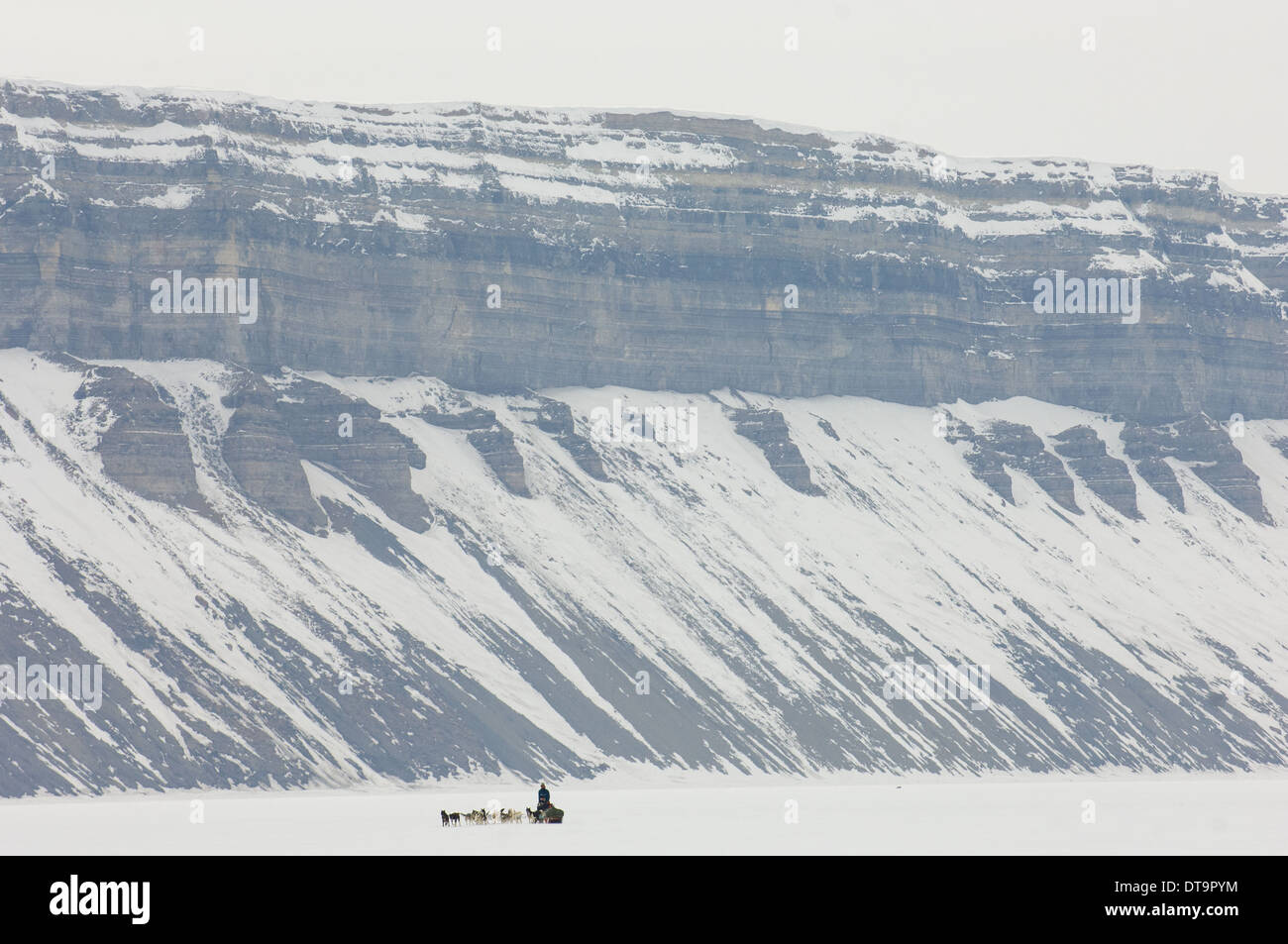 Dog sled team in front of the towering cliffs of Temple Fjord (Tempelfjorden), Spitsbergen, Svalbard Archipelago, Norway Stock Photo