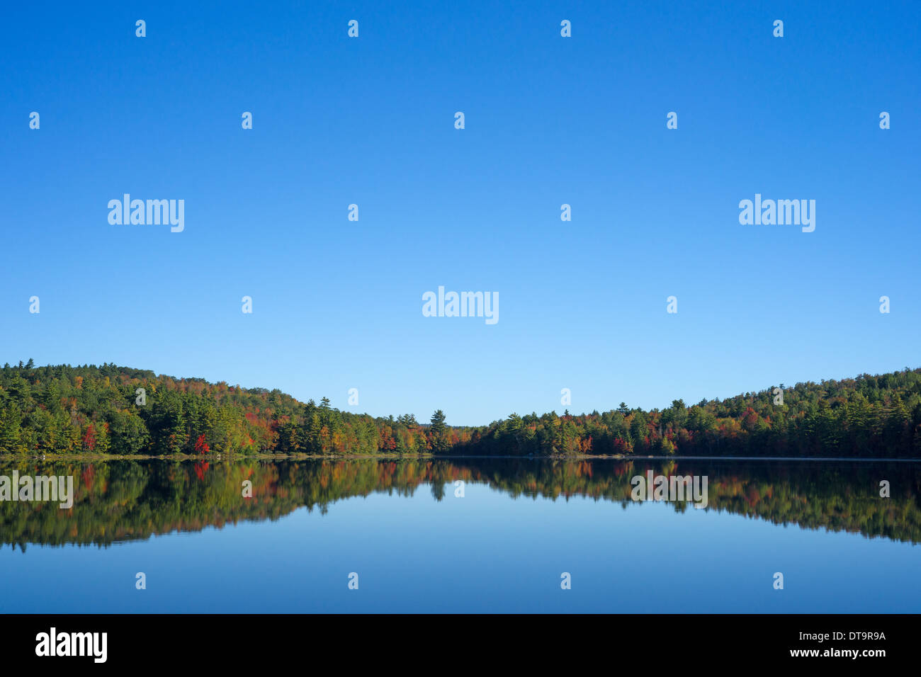 The reflection of a forest on Sanborn Pond in Morrill Maine with blue sky and fall foliage Stock