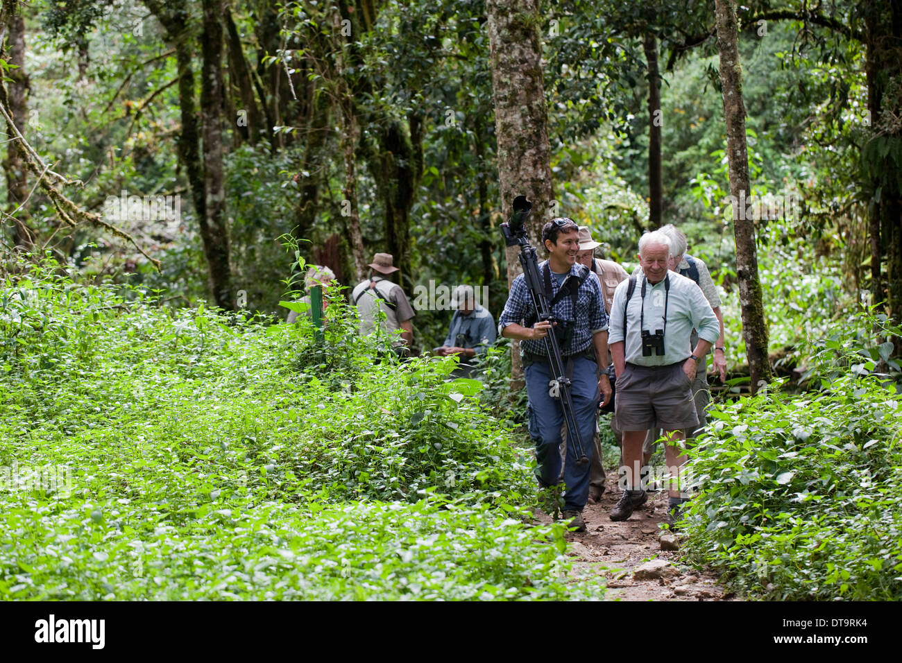 Eco-tourists and local guide. Savegre. San Gerardo de Dota. Costa Rica. Central America. Stock Photo