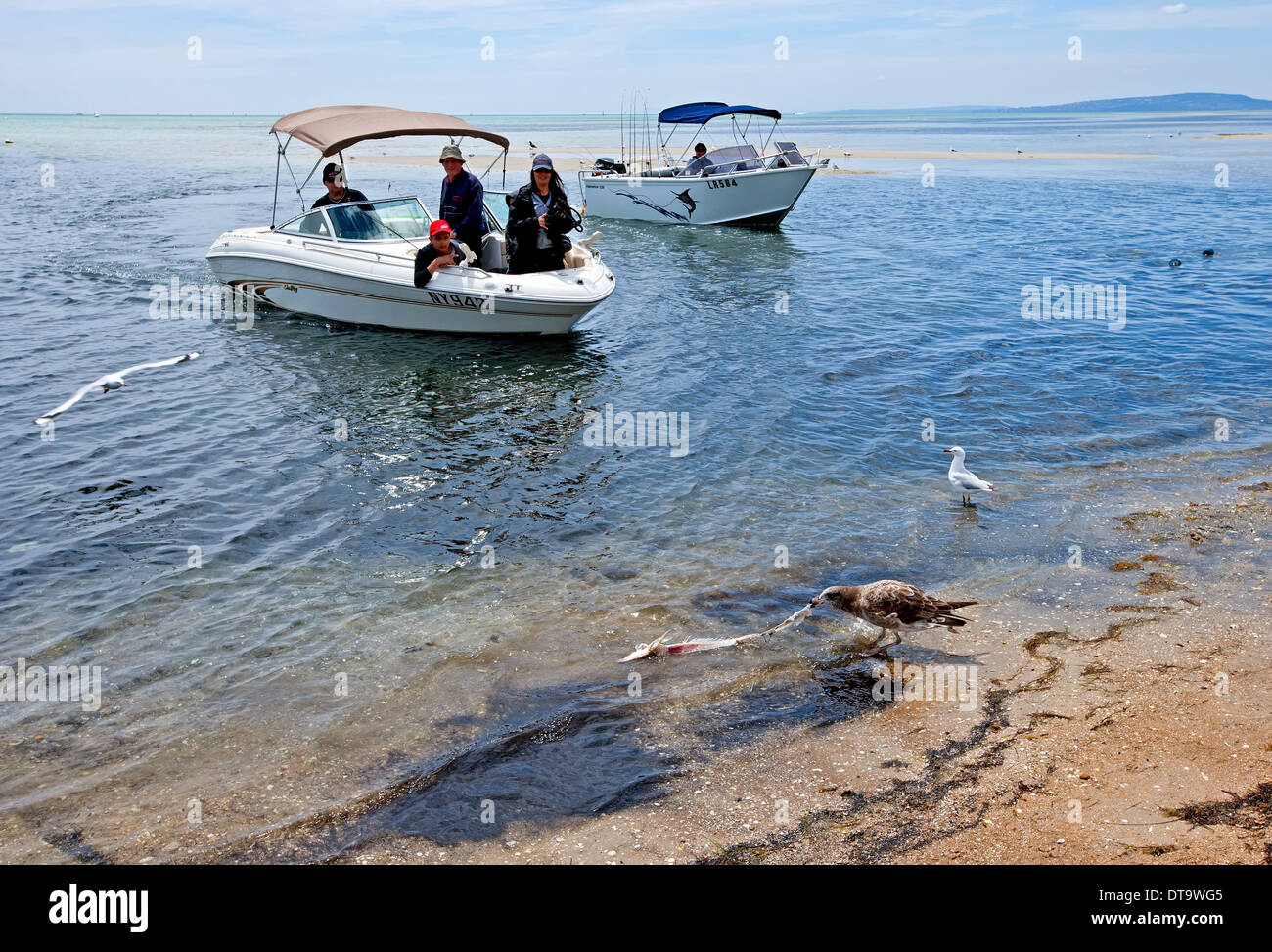 Boating on Port Phillip Bay in Victoria Australia Stock Photo Alamy