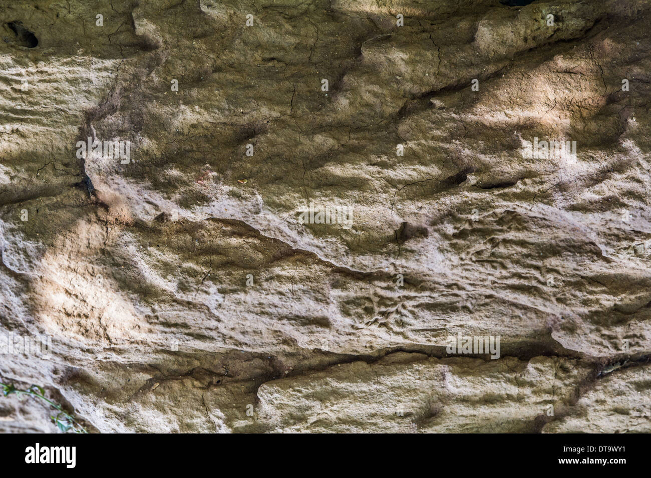 background of Soil Stock Photo - Alamy