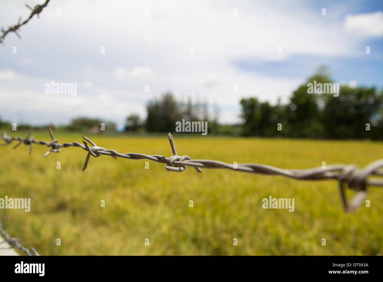 Keep out! Barbwire keeps the animals in the farmer's field. Stock Photo