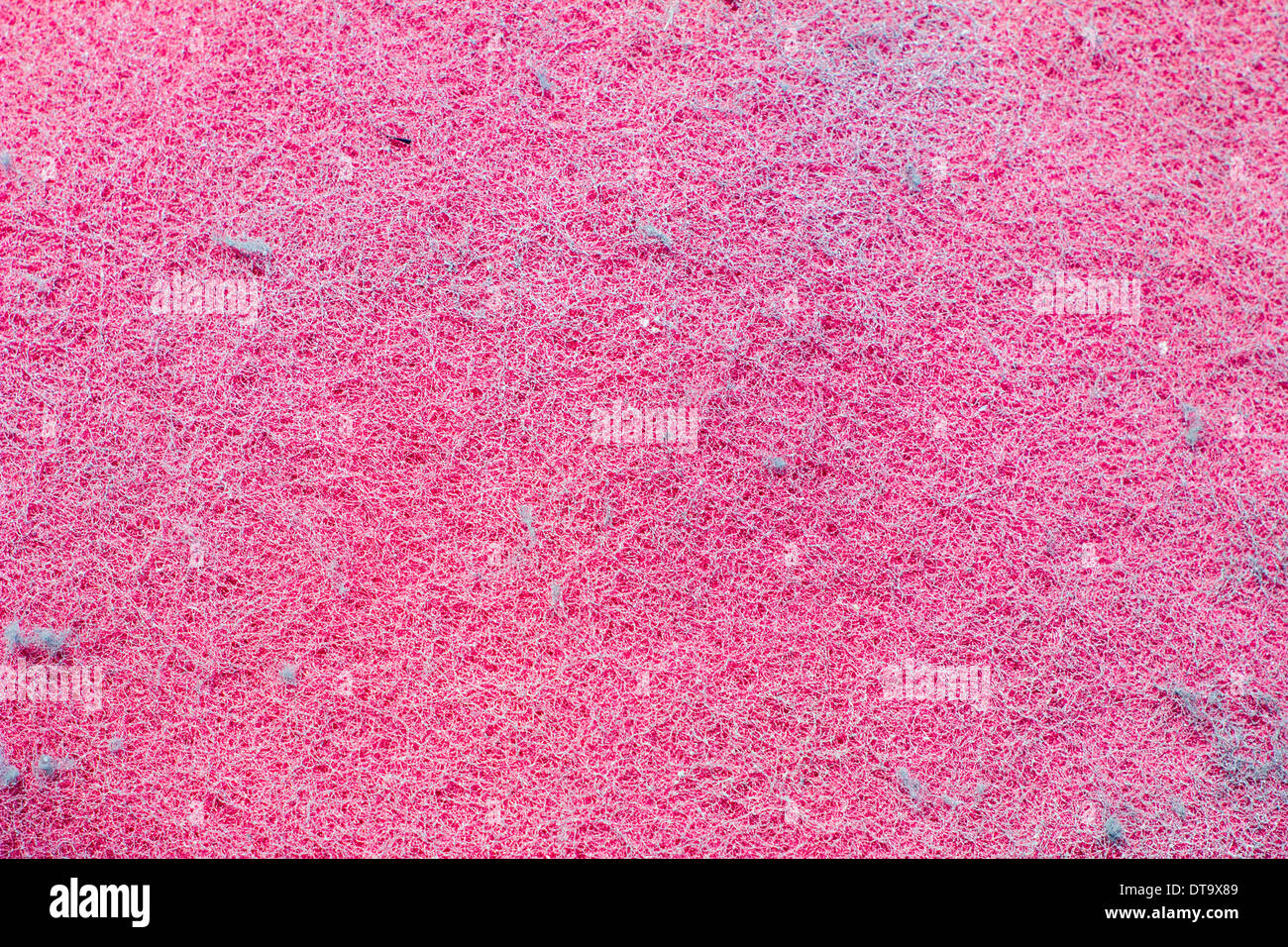 Stack of scouring pads background Stock Photo