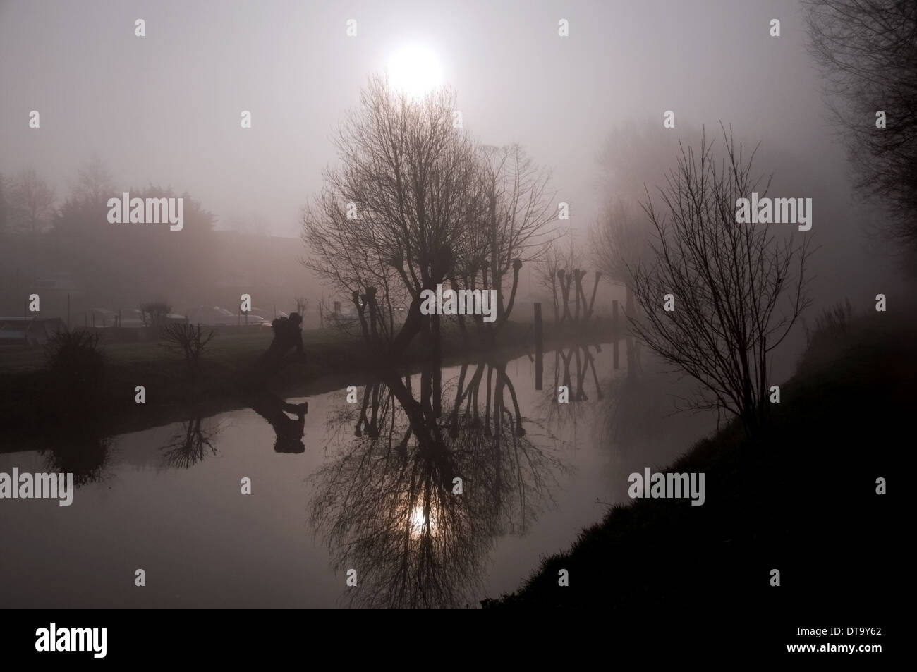 Trees reflected in river at Sunrise Stock Photo