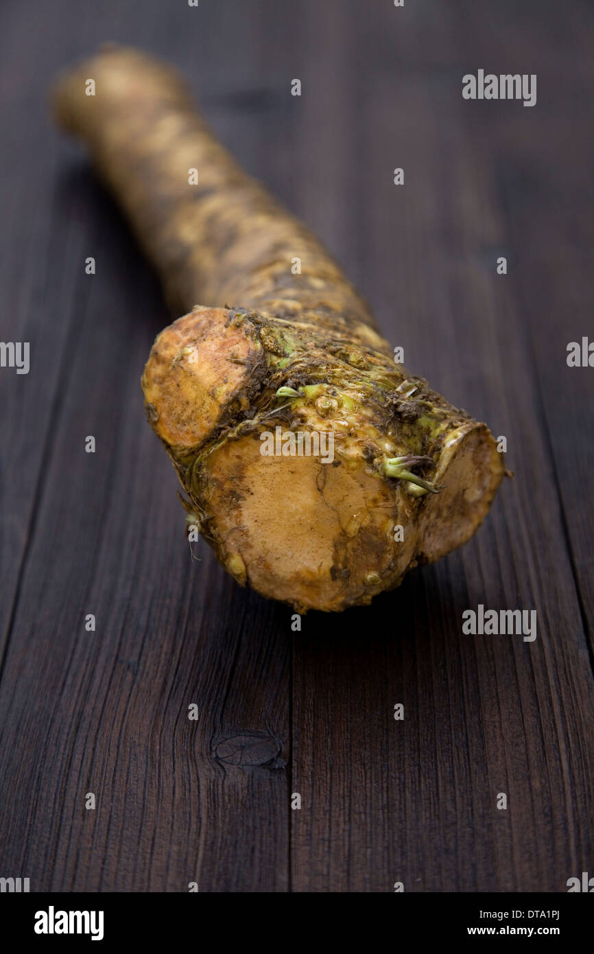 Horseradish, organic produce Stock Photo Alamy