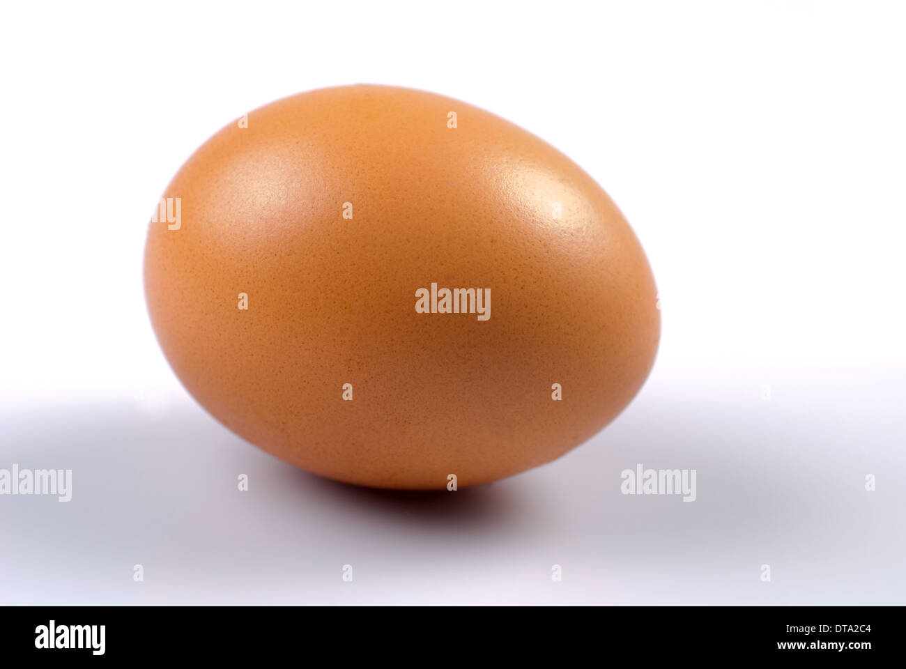 One beige egg isolated on white. Close up Stock Photo