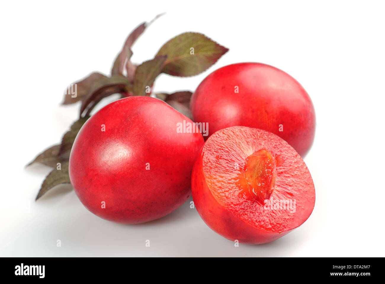 Fruit of red plum isolated on white. Prunus cerasifera var. pissardii Stock Photo