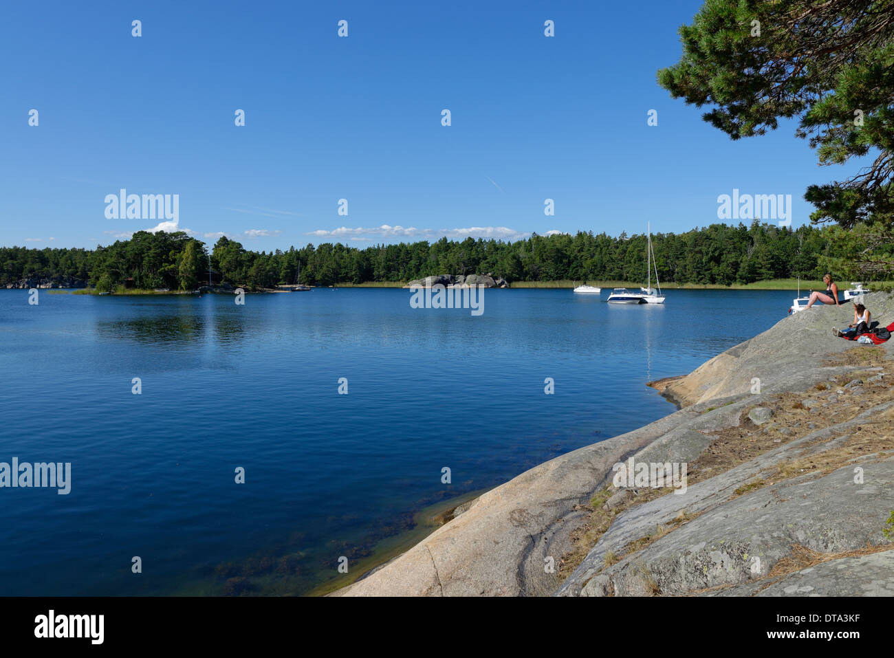 Typical round polished rocks, roches moutonnées, on Finnhamn Island in the Stockholm Middle Archipelago, Stockholm, Sweden Stock Photo