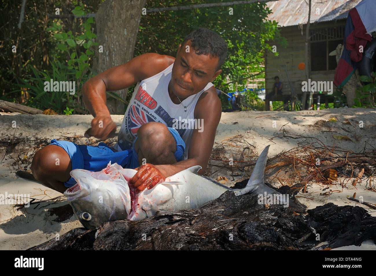 Fisherman gutting a large fish, Runi Island, Biak, West Papua, Indonesia Stock Photo