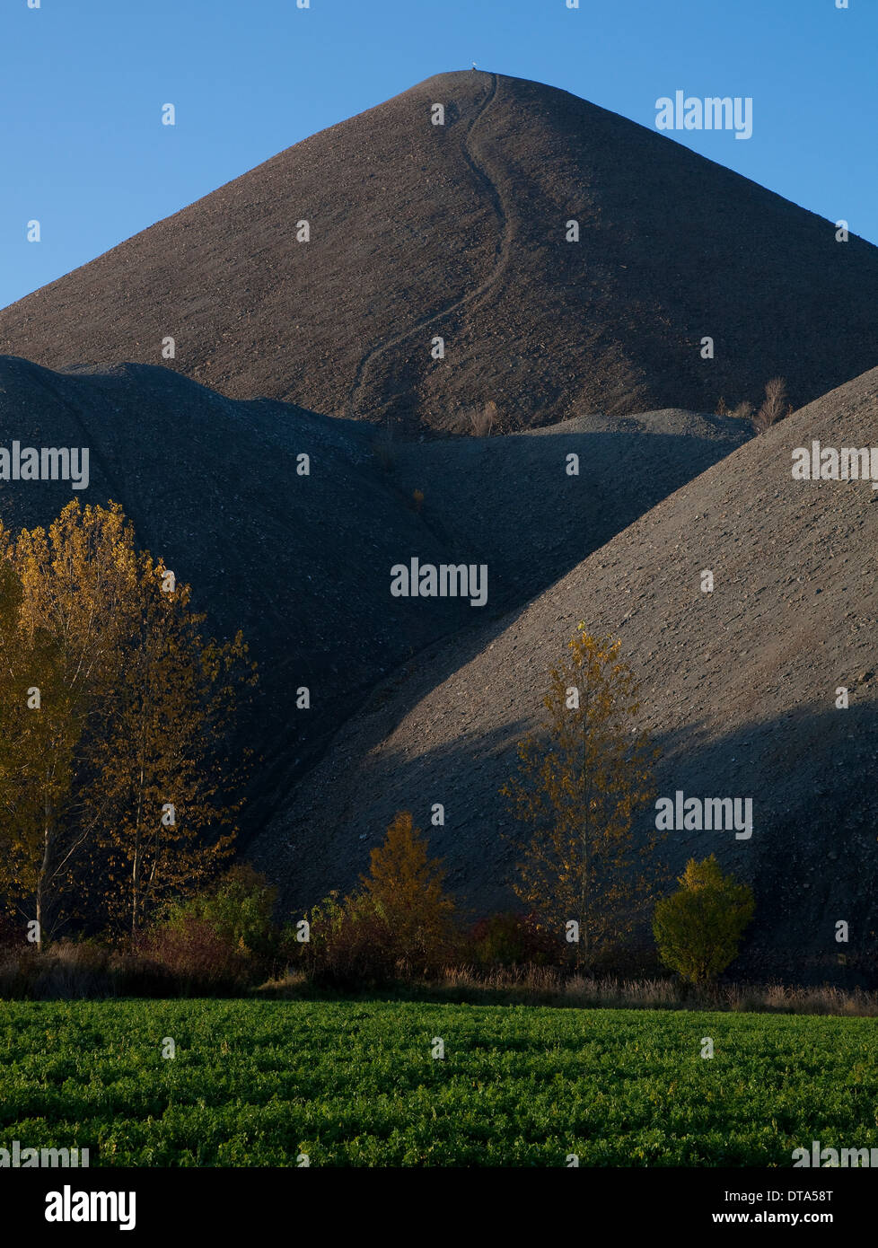 Mansfelder Land, Halden Stock Photo Alamy