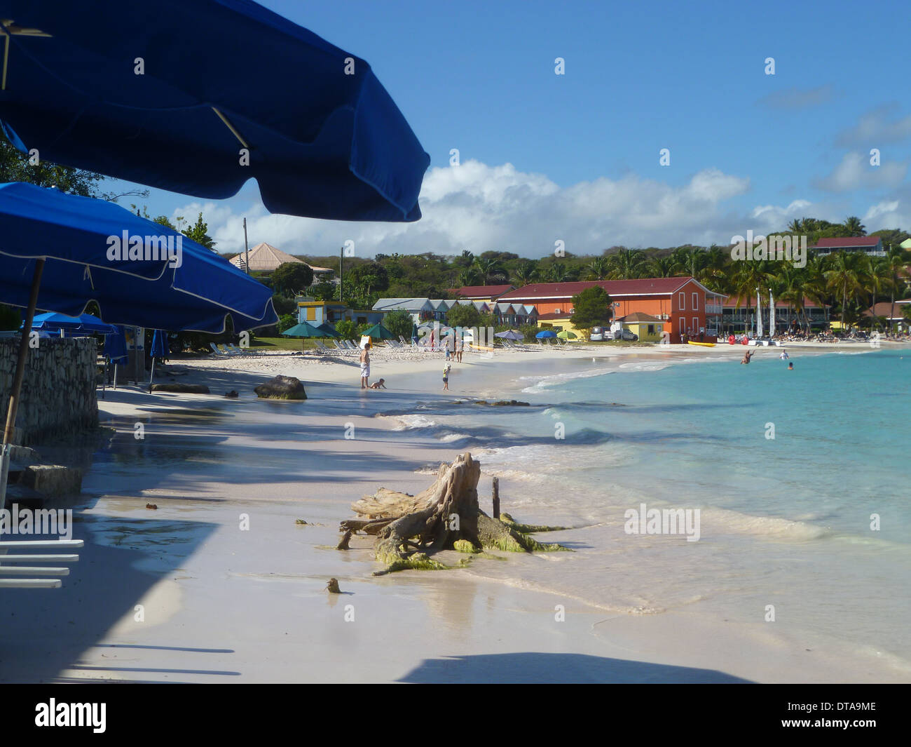 Long Bay Beach, Antigua Stock Photo Alamy