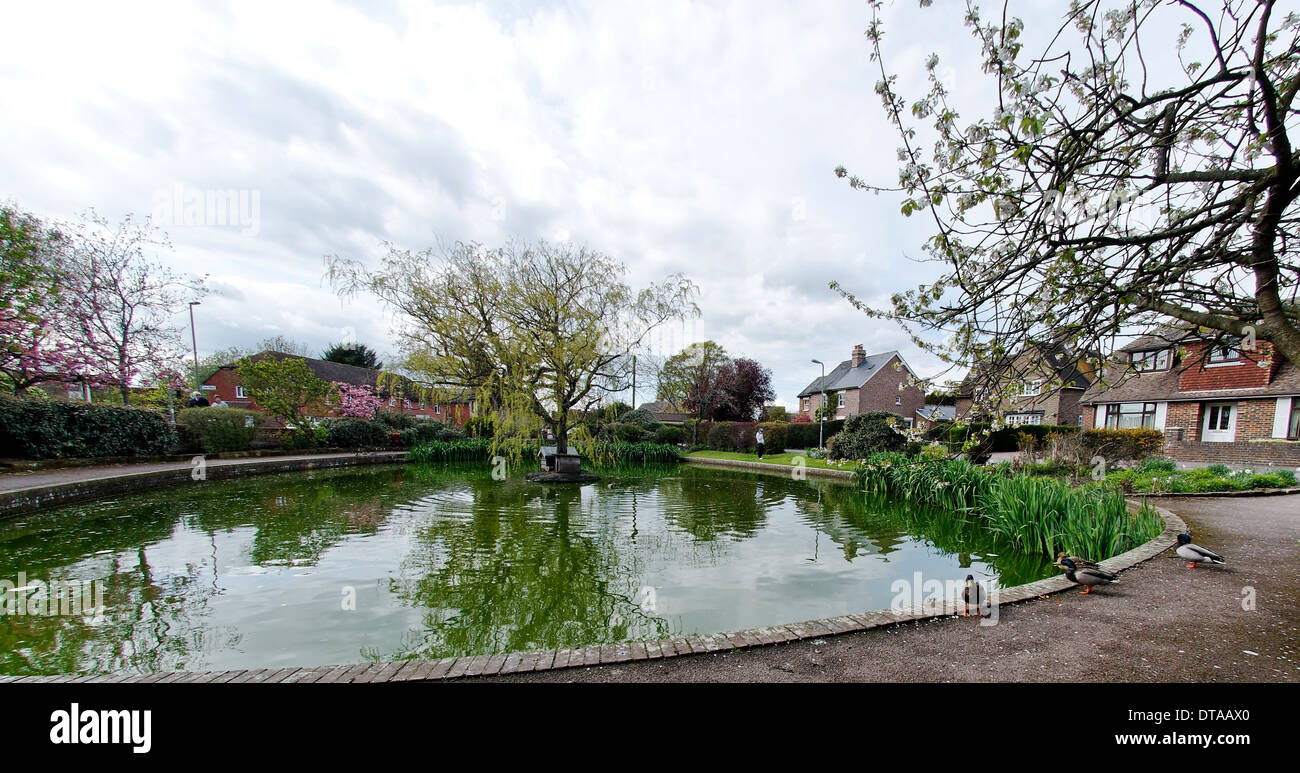 Village Pond, Lingfield, Surrey Stock Photo