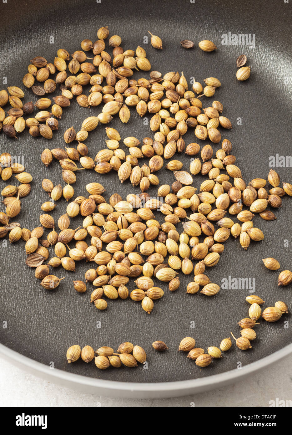 Coriander Seeds roasted in small pan Stock Photo