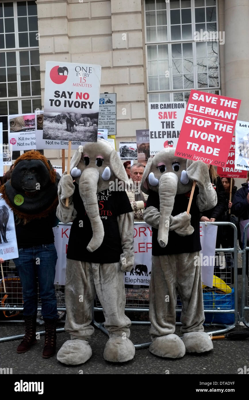 London, UK. 13th Feb, 2014. Wildlife  supporters, including Bill Oddie, gather on Pall Mall to show their passion for wildlife as world leaders gather at the illegal wildlife trade summit. Credit:  Rachel Megawhat/Alamy Live News Stock Photo
