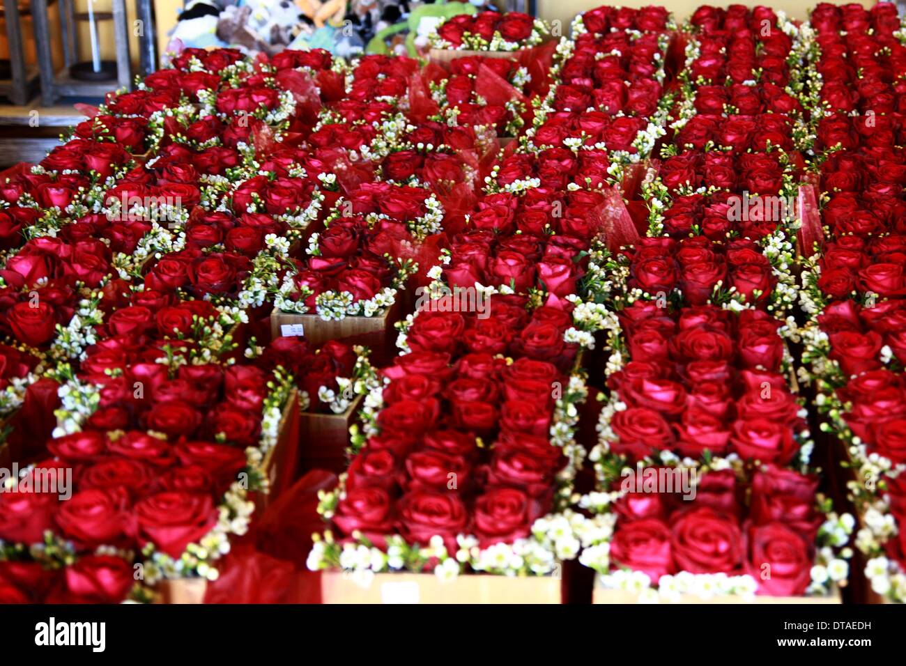 Ramallah, Israel. 13th Feb, 2014. Roses for sale are seen a day before
