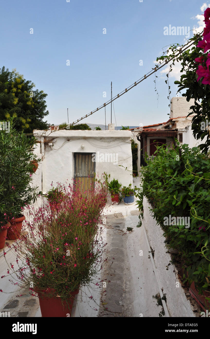 Narrow footpath with plants and small houses in the traditional Anafiotika neighborhood, village style architecture in the city. Stock Photo