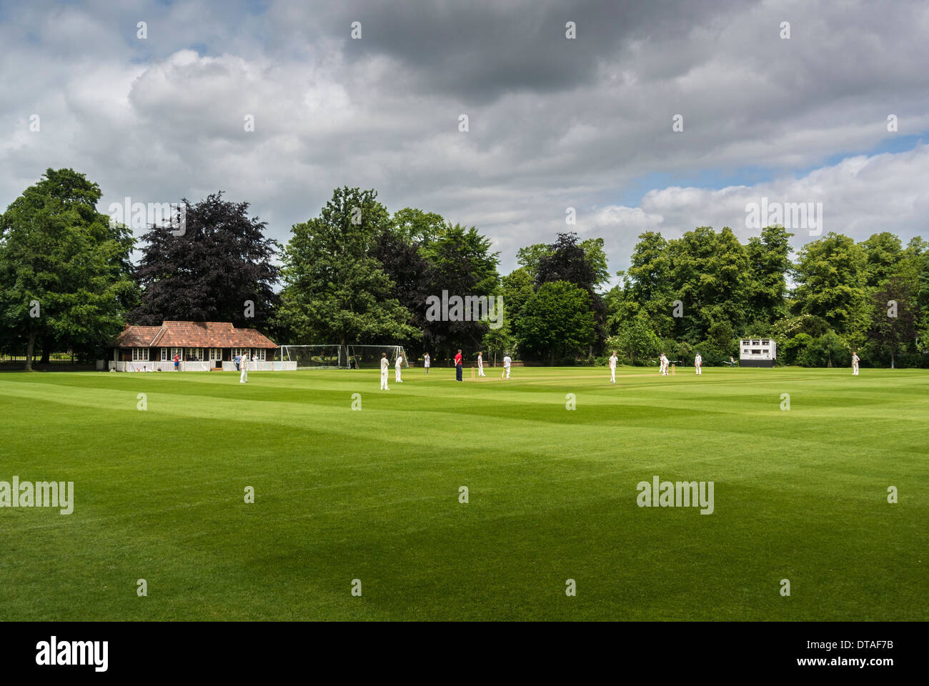 School cricket match in progress Stock Photo