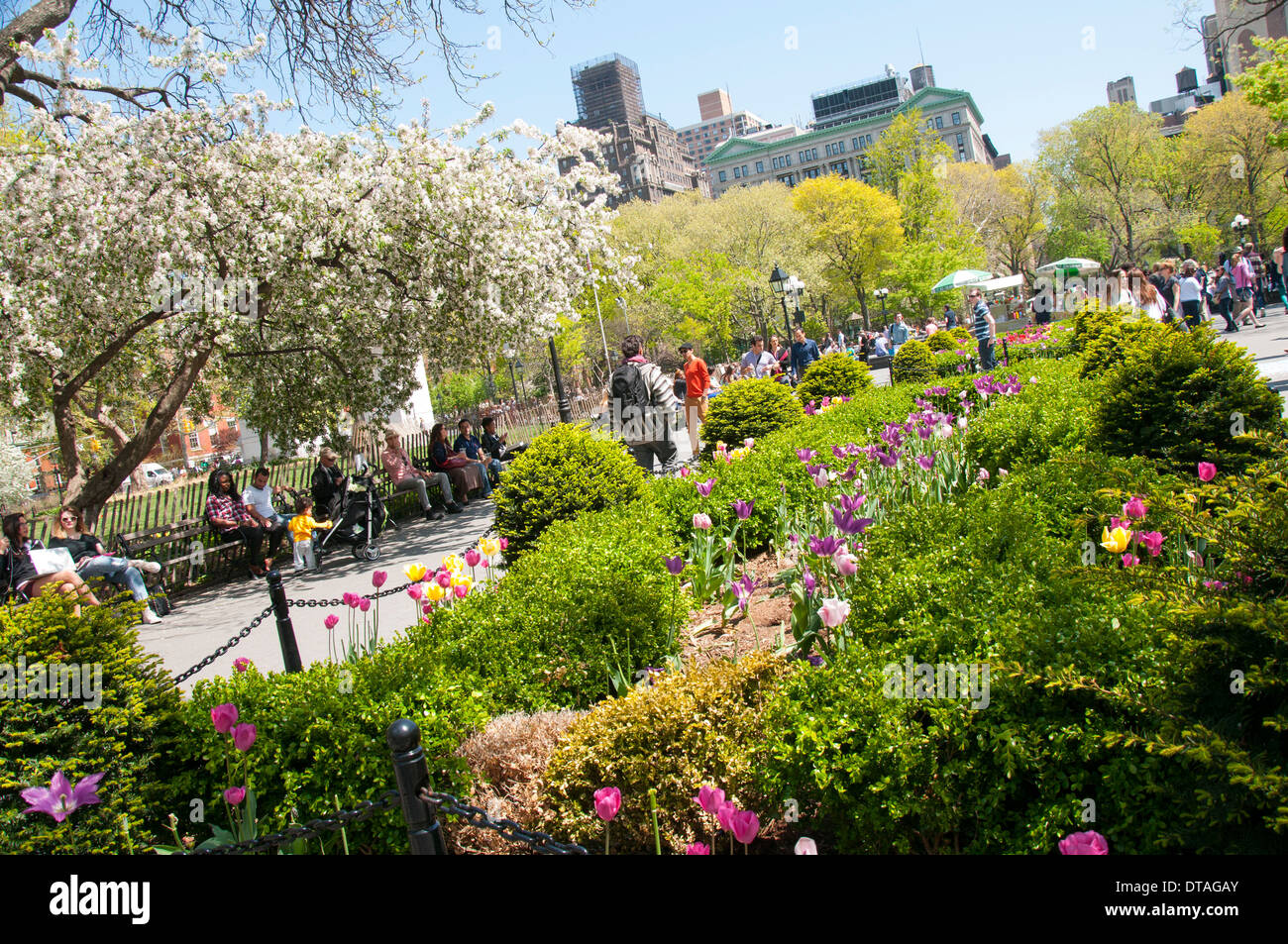 A sunny spring day in Washington Square Park, Manhattan New York City, USA Stock Photo