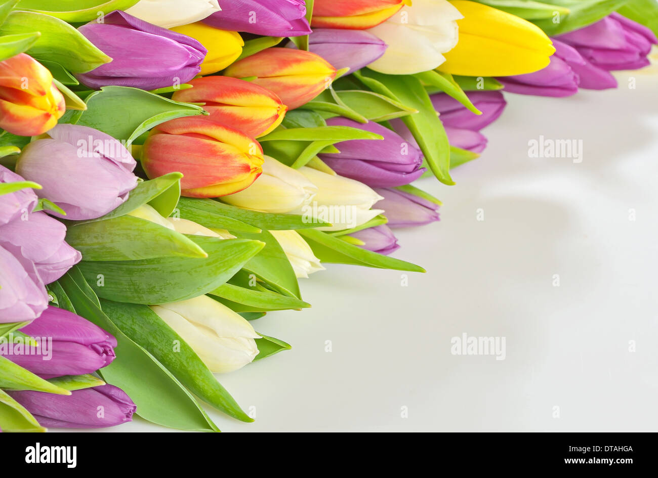 details of colorful bouquet of spring tulips Stock Photo - Alamy
