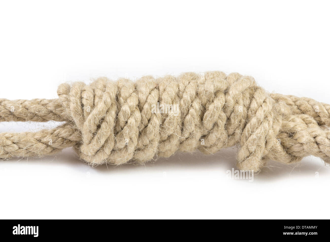 Slipknot Detail of a Rope with hangman's noose isolated on white