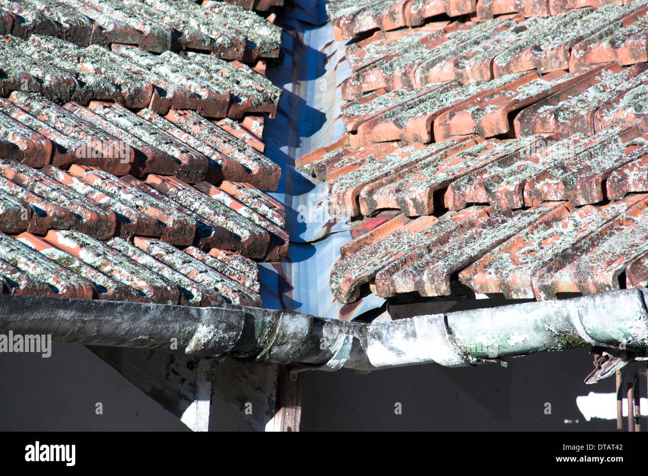 close up of lichen covered roof showing valley iron and algae covered gutter Stock Photo
