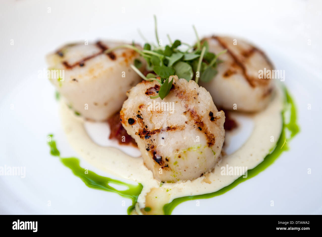 Grilled Sea Scallops Stock Photo Alamy