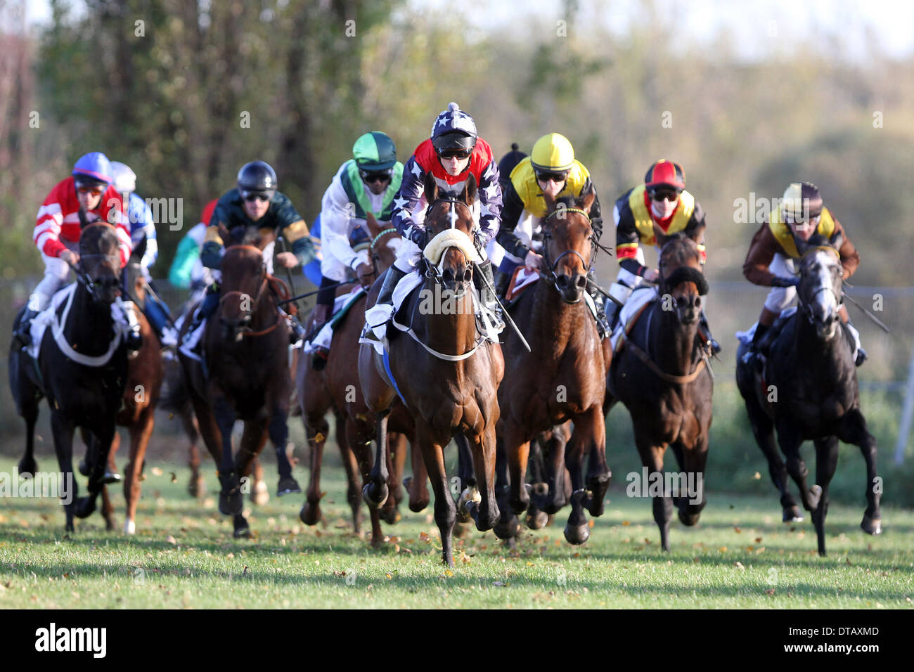 Gallop racing germany sport hi-res stock photography and images - Alamy