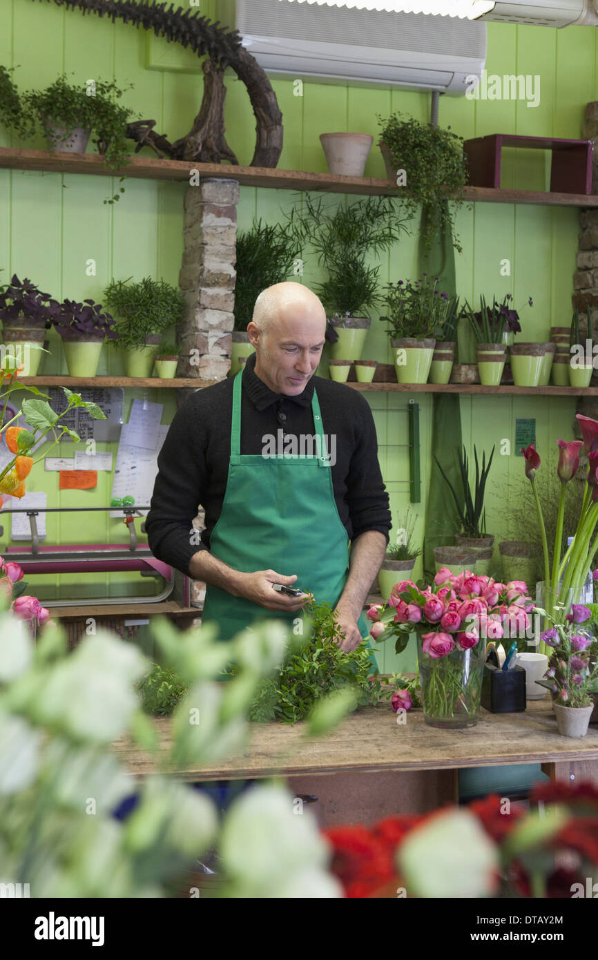 Mature man gardening plant Stock Photo