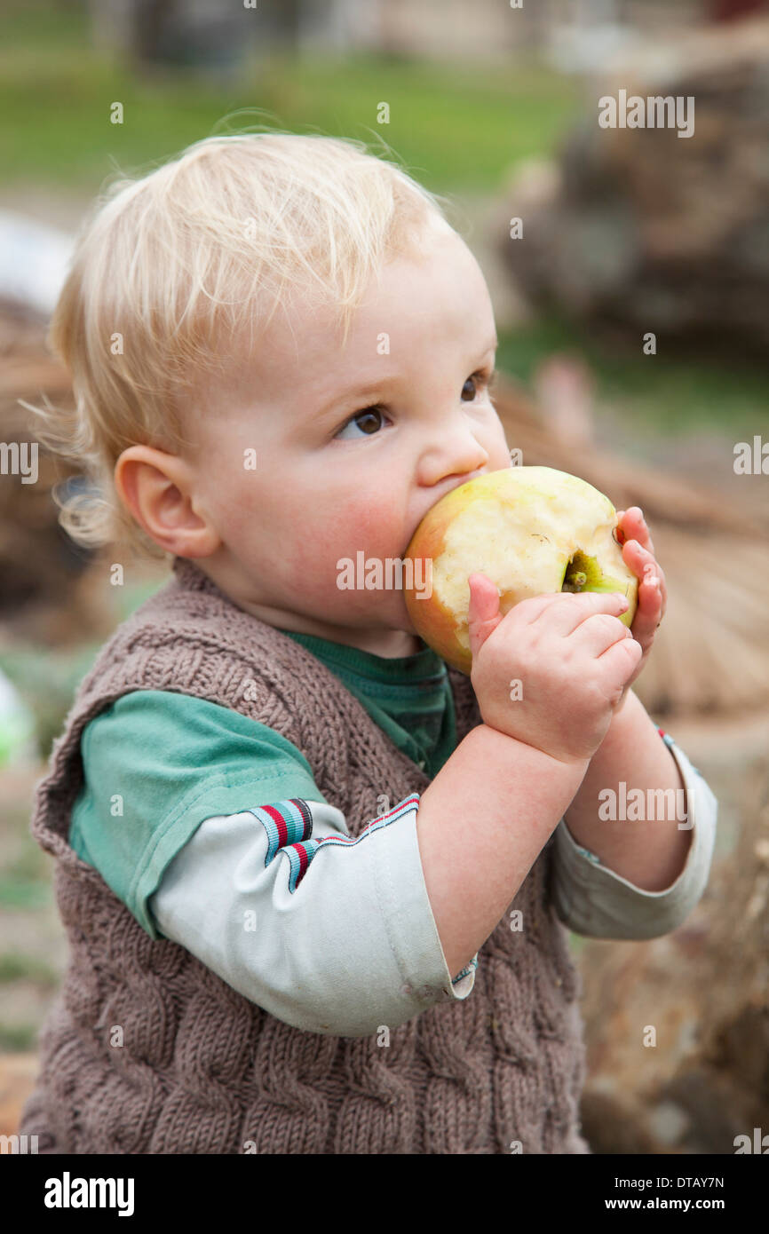 Baby boy eating apple, looking away Stock Photo