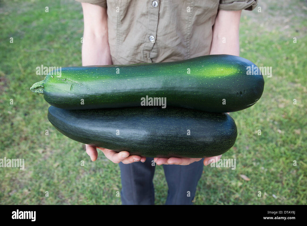 Person holding cucumber, close-up Stock Photo