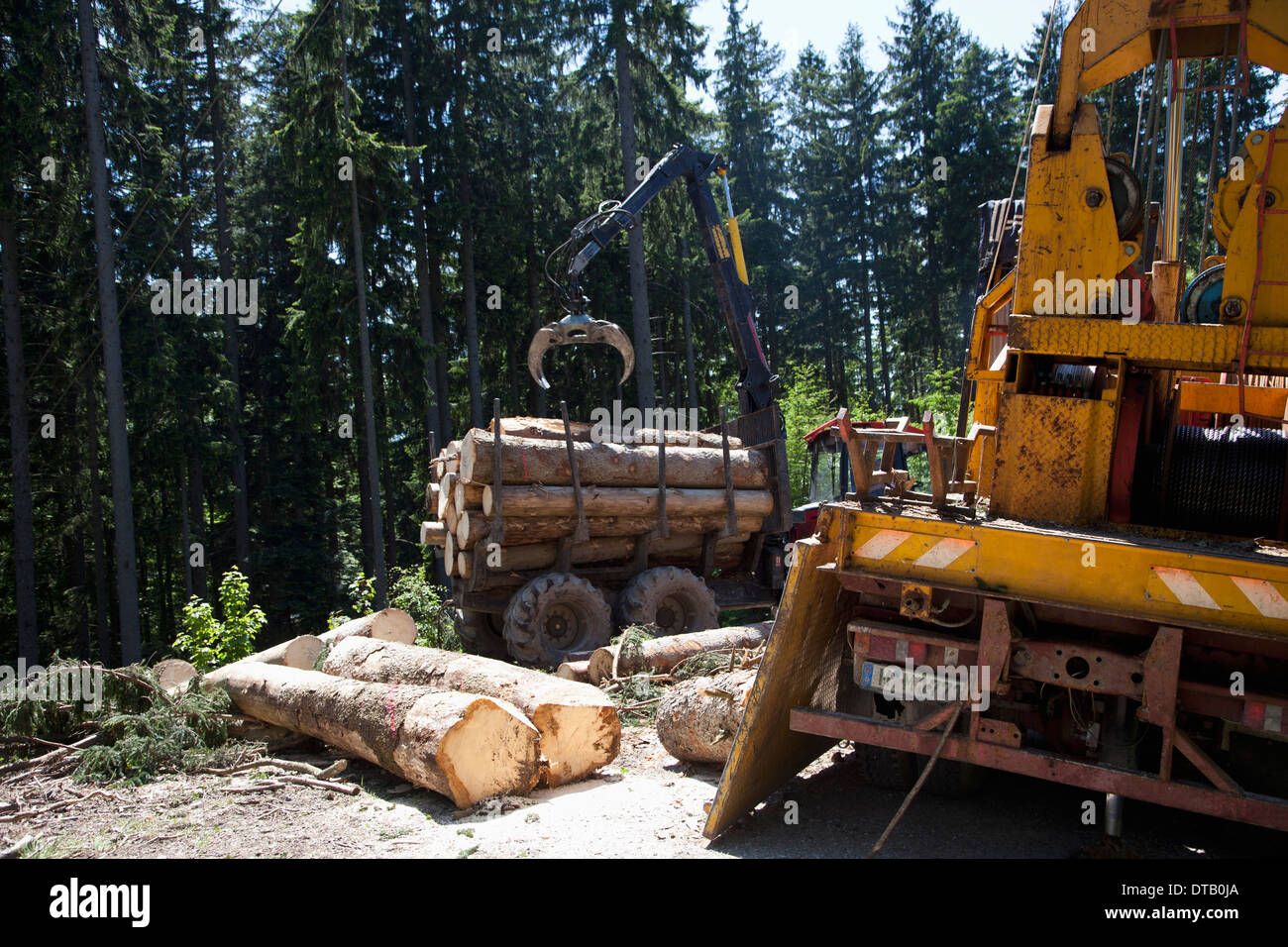 Logs loading in commercial land vehicle Stock Photo
