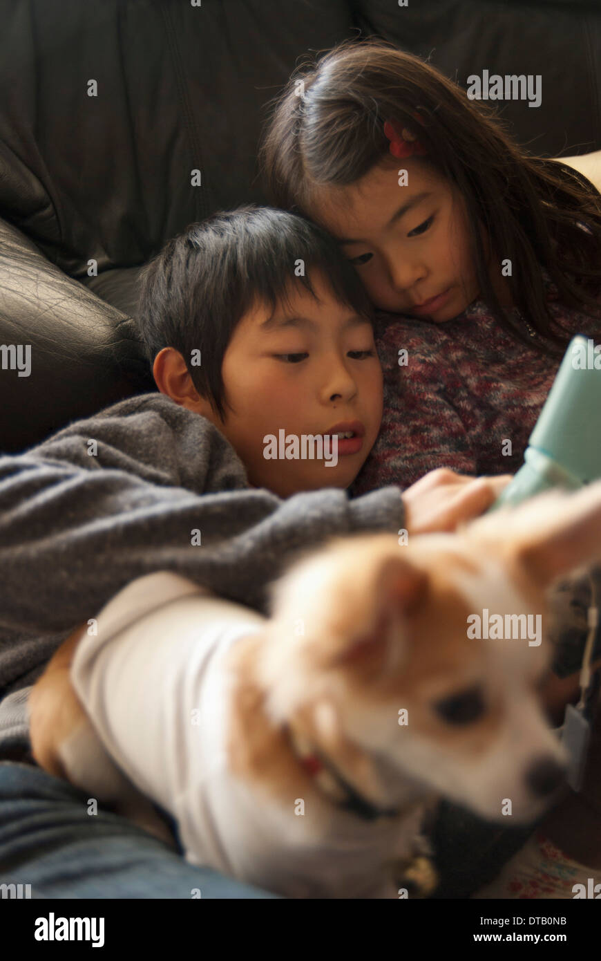 A Brother And Sister Lying On Sofa With Dog Stock Photo Alamy