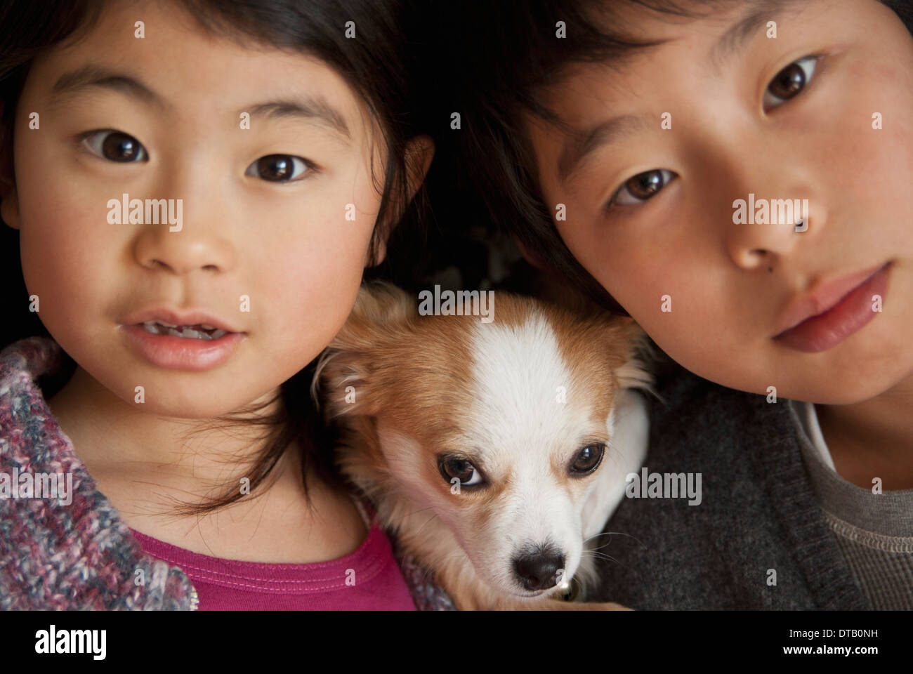 Boy and girl with dog, close-up Stock Photo