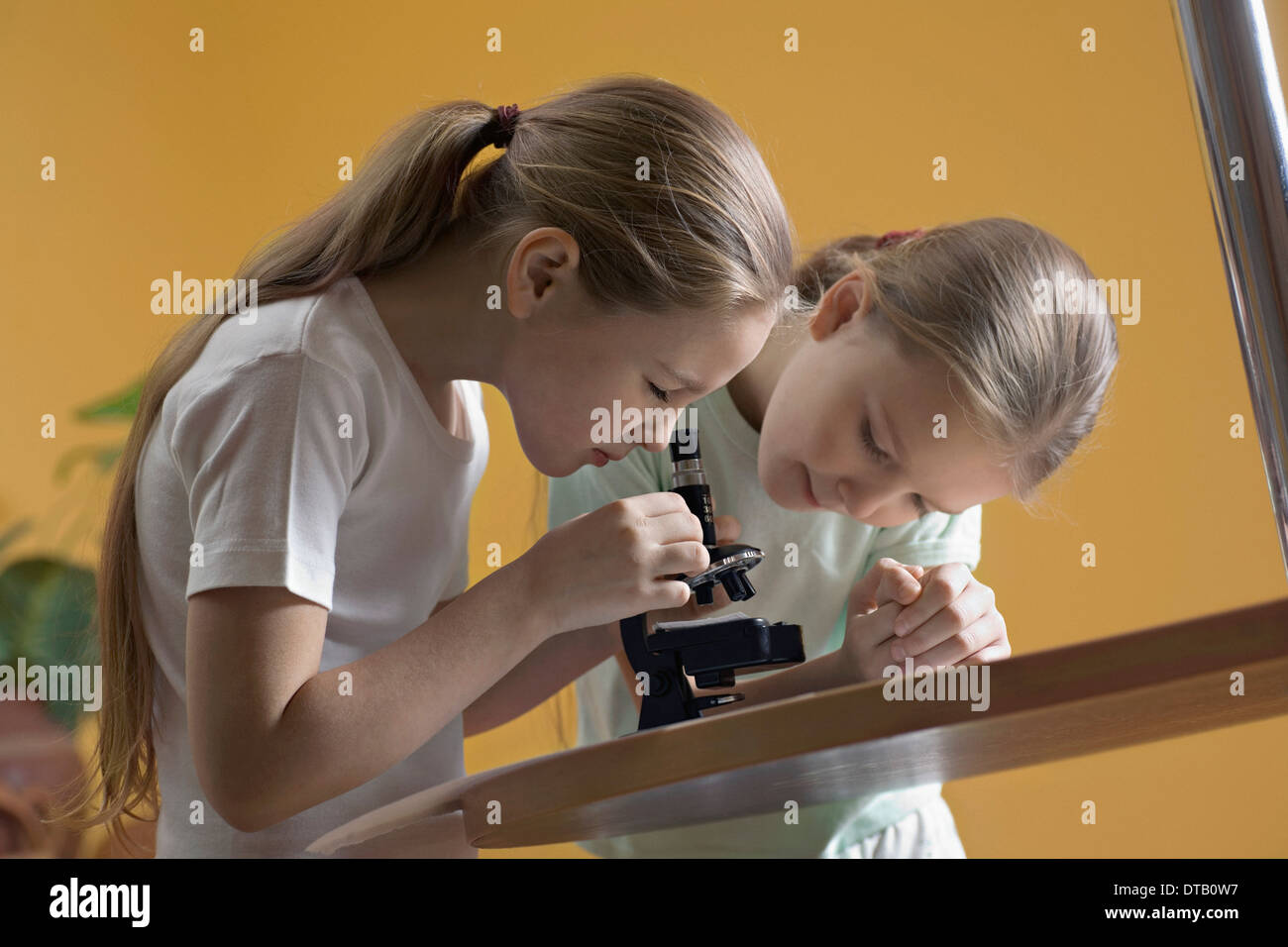 Girls looking through microscope Stock Photo