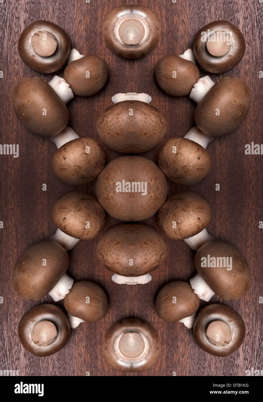 A digital composite of mirrored images of an arrangement of mushrooms Stock Photo