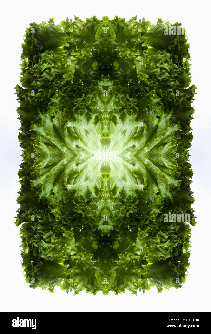 A digital composite of mirrored images of green leaf lettuce leaves Stock Photo