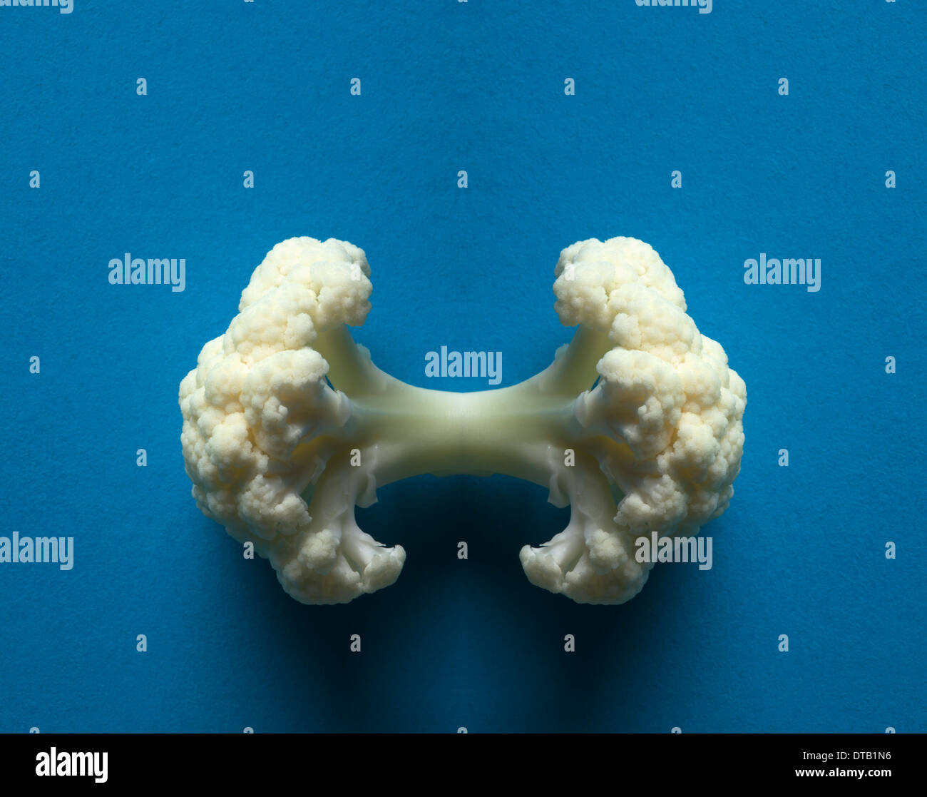 A digital composite of mirrored images of two pieces of cauliflower Stock Photo