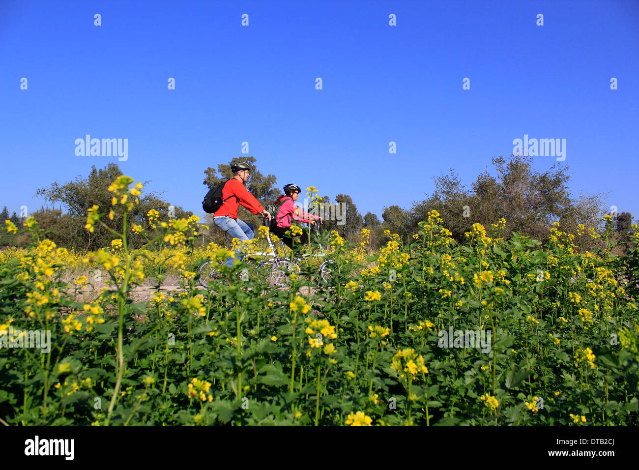 Hikers cycling in the Galilee region northern Israel Stock Photo