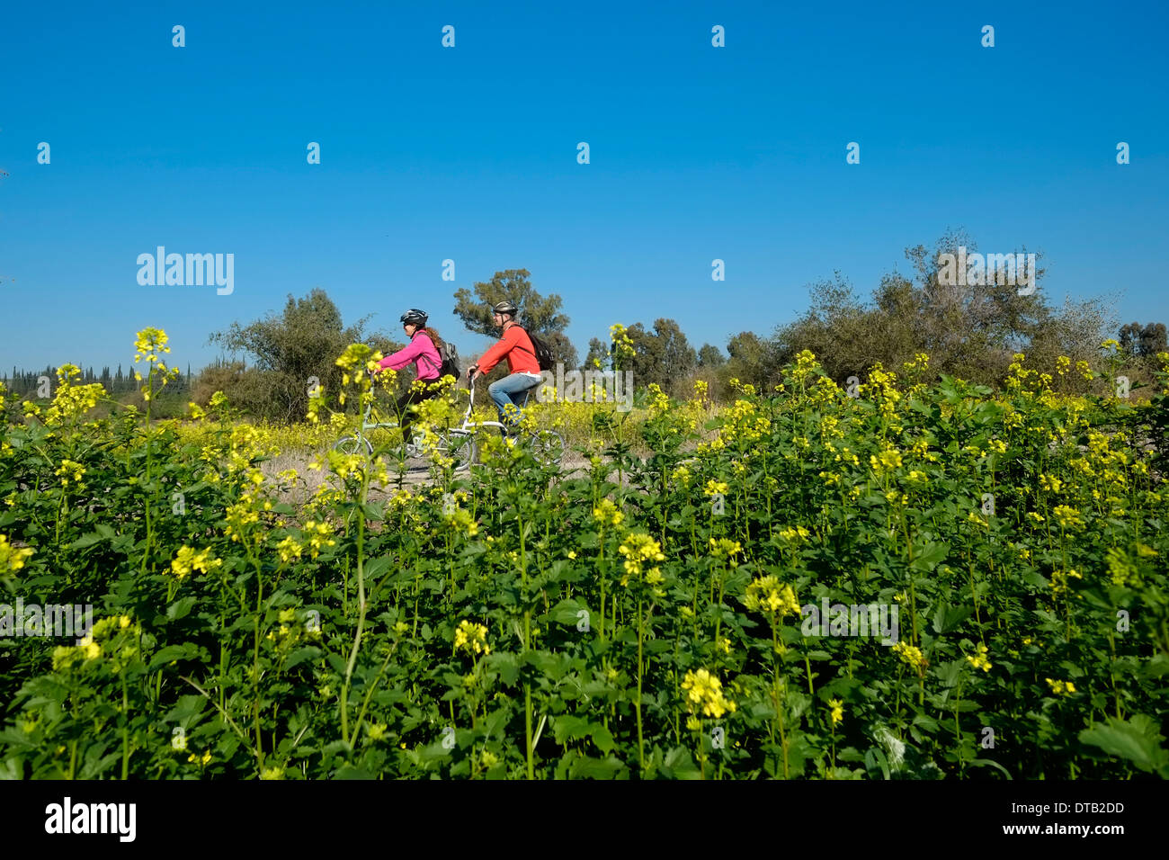Hikers cycling in the Galilee region northern Israel Stock Photo