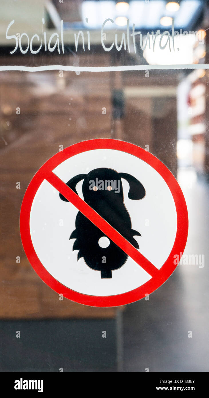 cute frontal version no dogs allowed decal on window of stylish new Starbucks in upscale Plaza del Parque mini mall Oaxaca Stock Photo