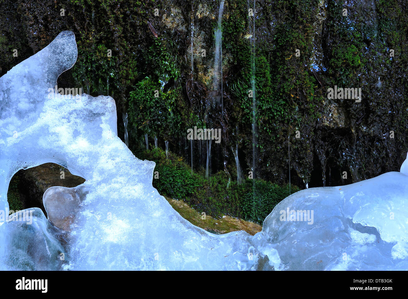 Melting Ice along a moss covered wall in the Maligne canyon of Jasper National Park Alberta Canada Stock Photo