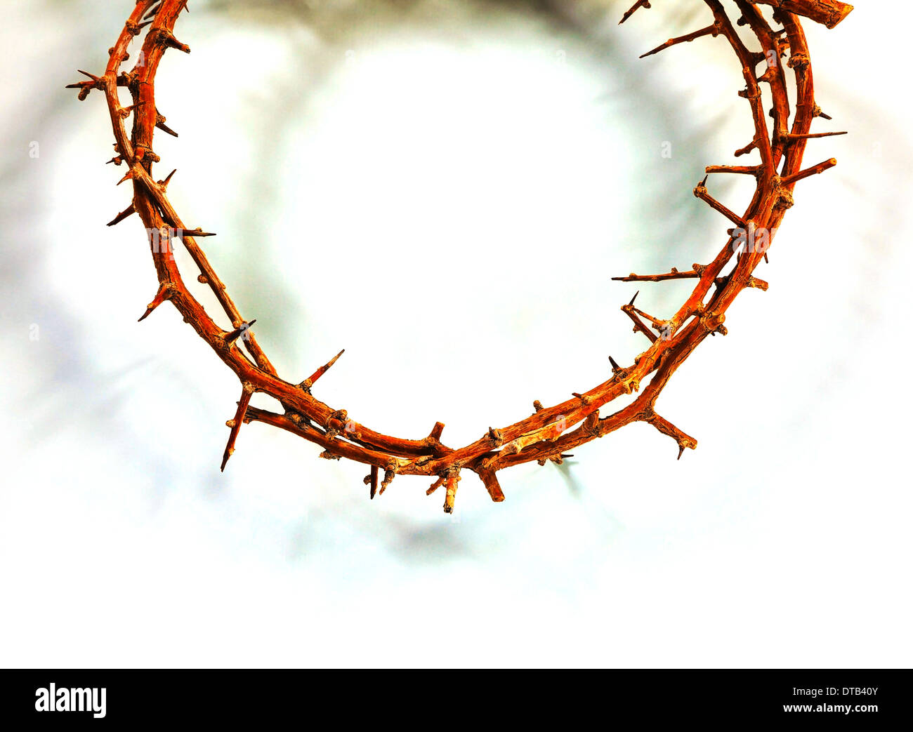 Thorn crown close up over the white background Stock Photo
