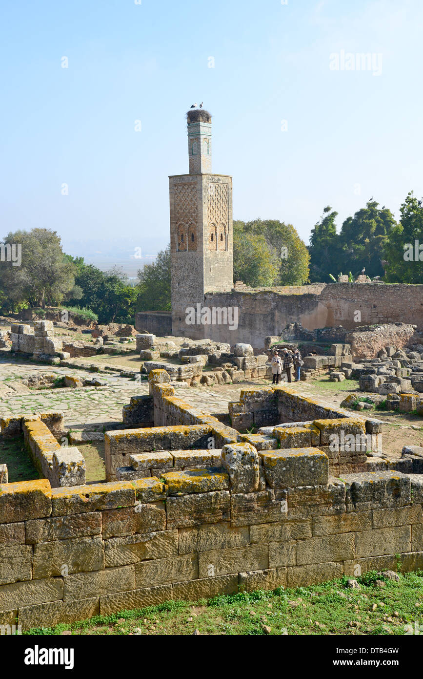Chellah (Sala Colonia) Roman archaeological site, Rabat, Rabat-Salé-Zemmour-Zaer Region, Kingdom of Morocco Stock Photo