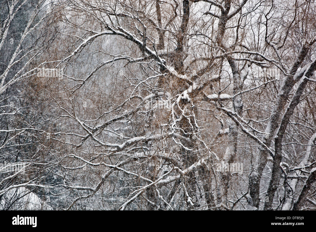 Winter storm in Vermont Stock Photo