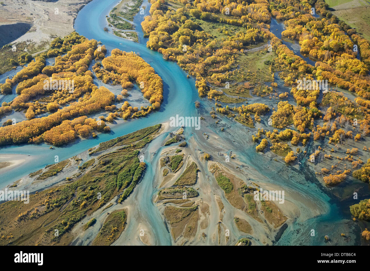 Autumn Willow Trees and Delta where Clutha River enters Lake Dunstan, Central Otago, South Island, New Zealand - aerial Stock Photo