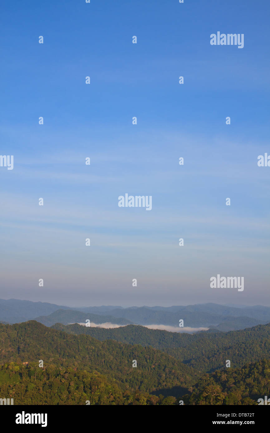 green forest and blue sky background Stock Photo - Alamy